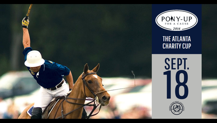 2a1d5587-pony_1473712135943.png