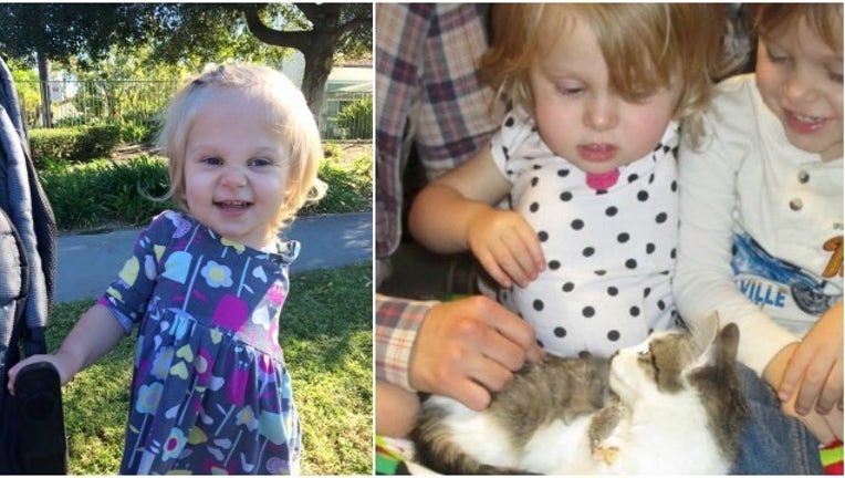 6a86149b-scarlette kitten_1451915539080.jpg