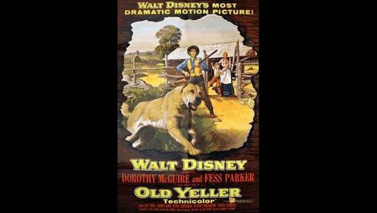 6b0ca000-OLD YELLLER_1456415139384.JPG