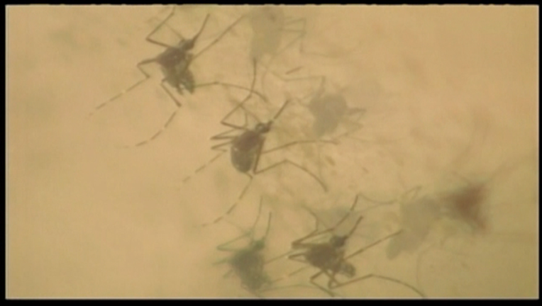 V ZIKA VIRUS TRAVEL WARNING_00.00.26.03_1452917054786.png