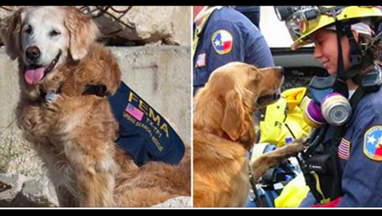 911 dog passes away_1465294755360.png