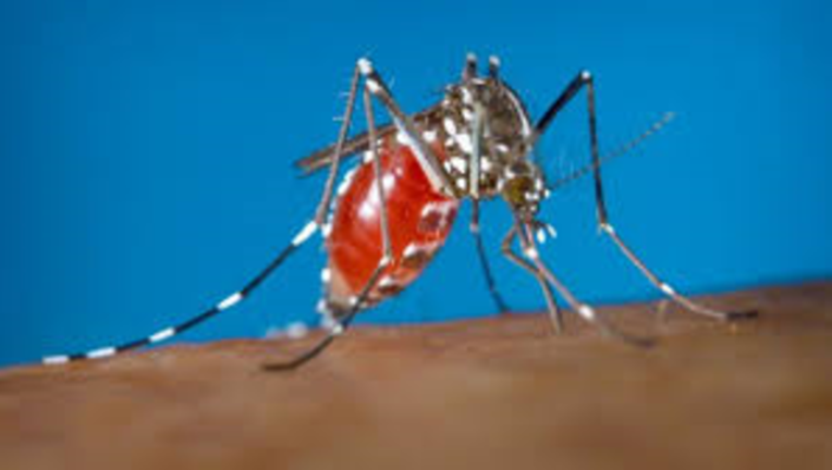 Zika virus is spread by mosquitoes.