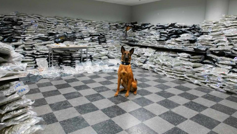 CPD K9 and marijuana-404023