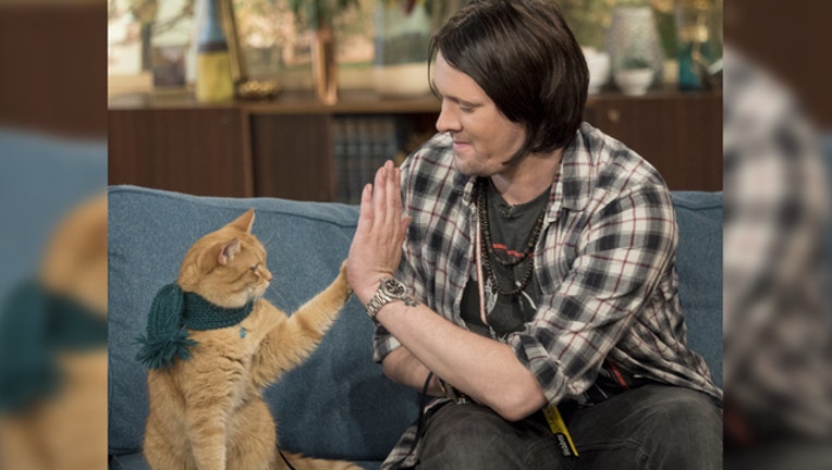 FD_0412B High Five a Cat - Nat'l High Five Day RECT0_1523997506112.jpg-400801.jpg