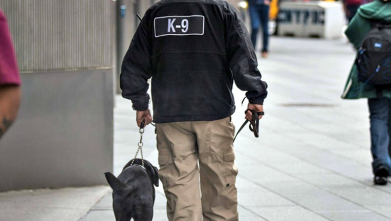 GETTY k9 police dog_1525829097794.jpg-404023.jpg