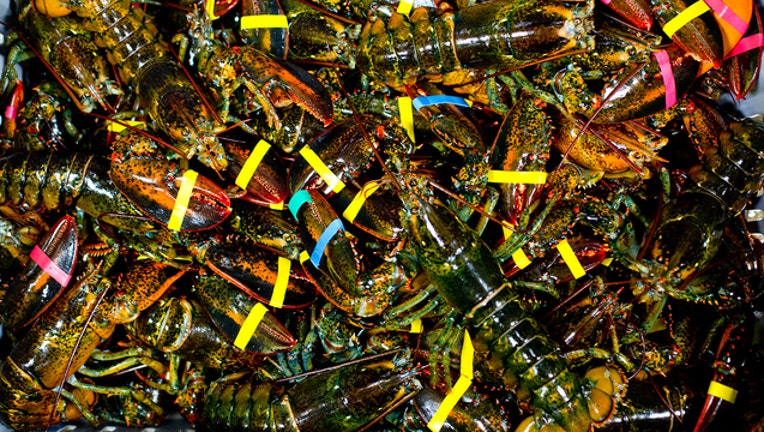 0de9a0d5-GETTY lobster_1569401186525.jpg-401385.jpg