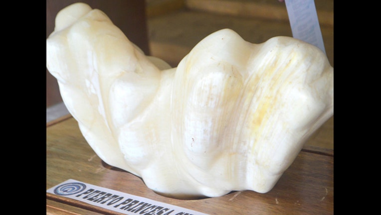 HERALD HUGO PPTO_1472137513781.jpg