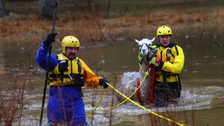 e6567914-LLAMA WATER RESCUE_1544994715158.jpg-401720.jpg