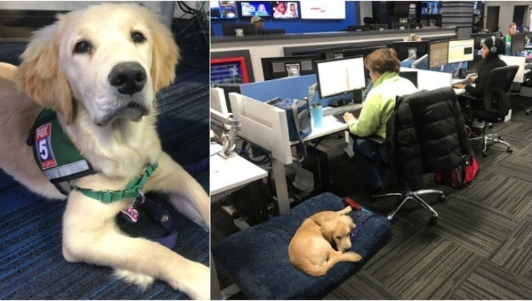 Max moves back to newsroom_1489758062609.jpg