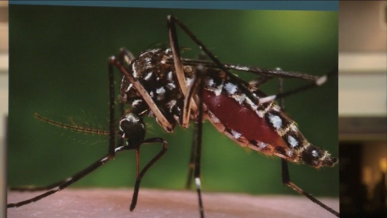 P HARTSFIELD_ZIKA NEWSER 5P_WAGA1d98_146.mxf_00.00.23.19_1459979479932.png