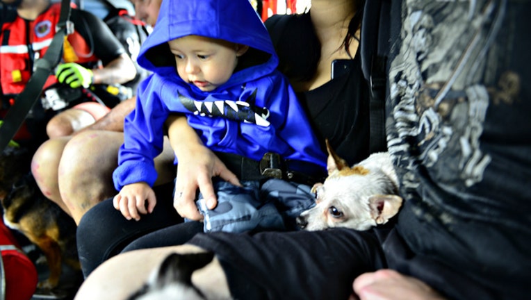 869962c9-Pets evacuated during Houston flooding-404023