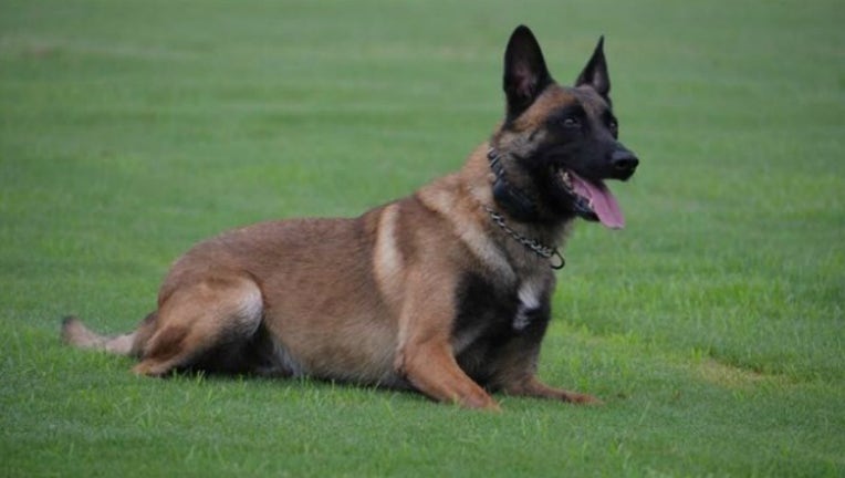 PicMonkey Collage_1493656494845.jpg