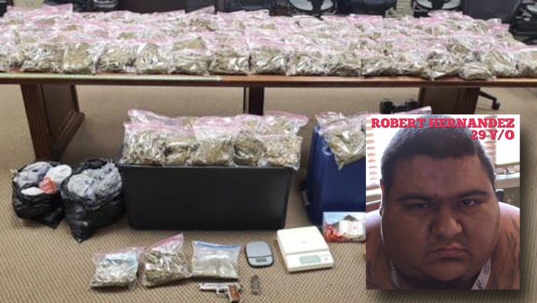 Robert Hernandez weed bust_1536177610705.jpg-407693.jpg