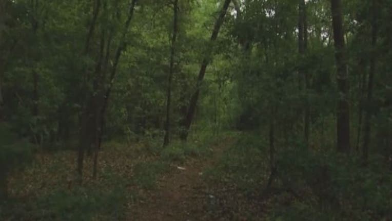 woodedarea090516-401720