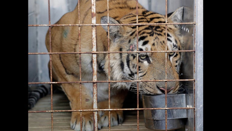 0ea09dcf-THEMBA HADEBE_1472137630122.jpg