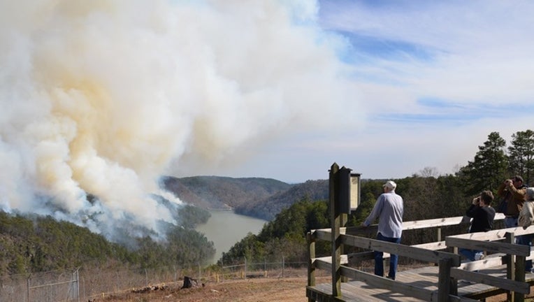 f0bb0f70-Tallulah Gorge overlook during 2013 controlled burn_1523476959258.jpg.jpg