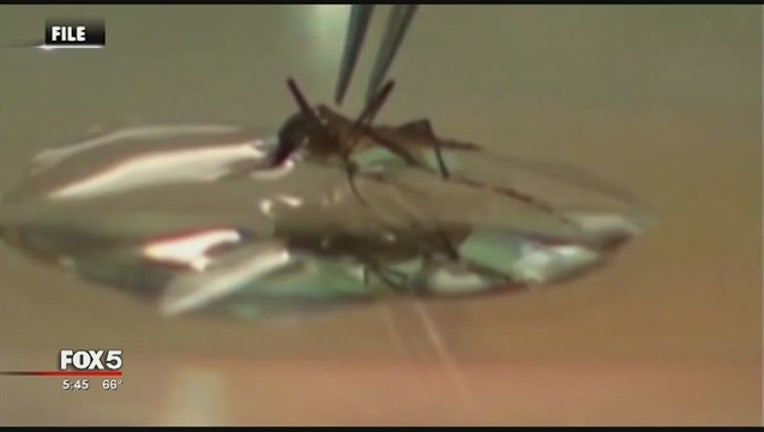 b9fc3232-Zika_virus_0_20160415232211