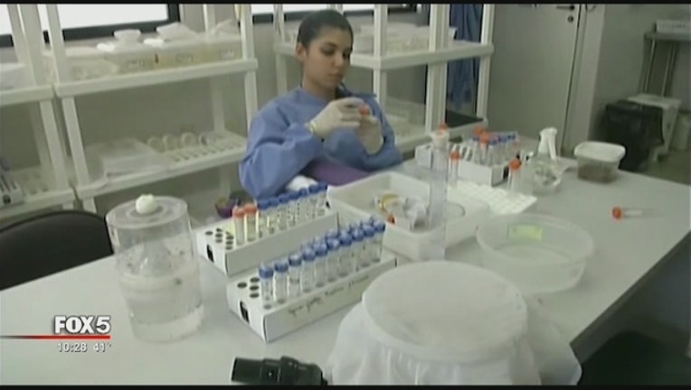eee6be63-Zika_virus_in_pregnant_women_5_20160205035439