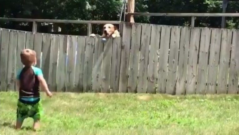 1b82a8b0-boy and dog_1532039728067.PNG-408200.jpg