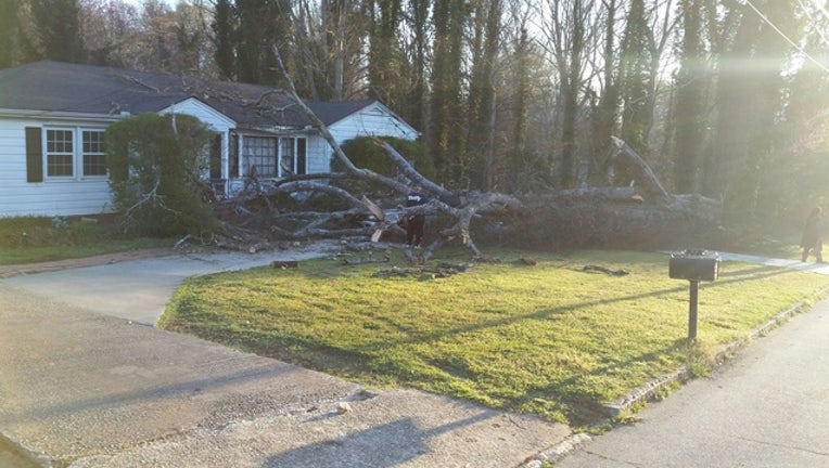 d2b32b5d-tree on home_1458053798573.jpg