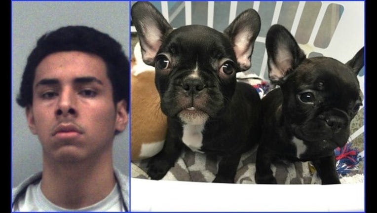 f29e6458-dogs Collage_1446238408695.jpg