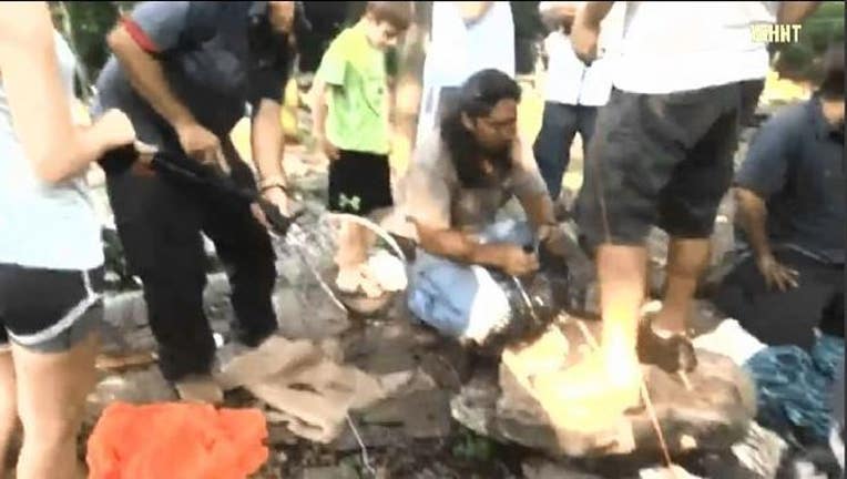 e42b82f2-puppy rescue_1530312451883.JPG-403440.jpg