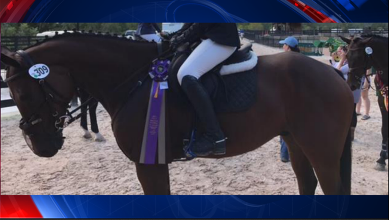 a590e3d7-horse 1_1506104727193.png