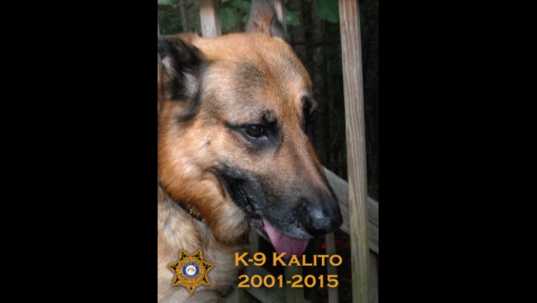 b30b8653-Kalito passes away