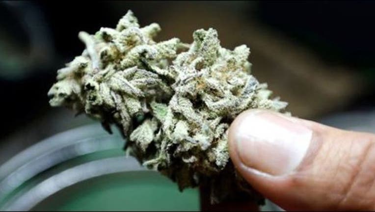 dbbd8c68-marijuana-pot-weed_1475331822355-404023.jpg