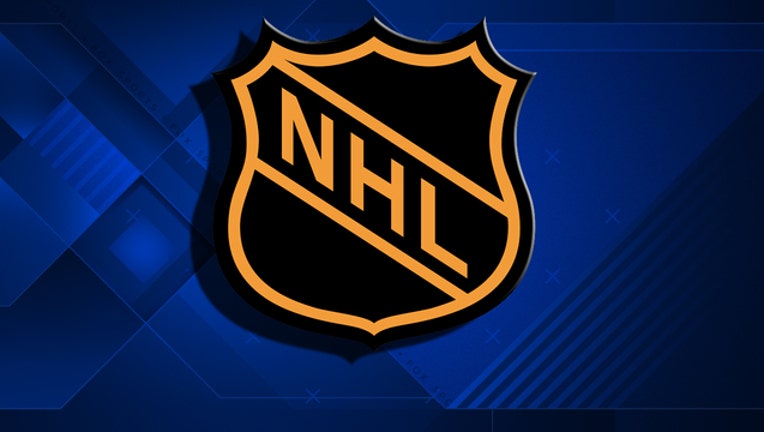 531b392c-nhl national hockey league sports generic_1494976611607.jpg