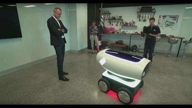6cf28a96-pizza delivery robot-404023