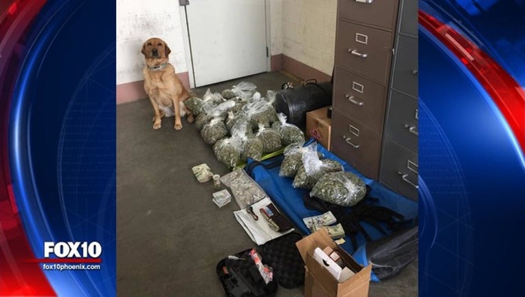 prescott k9 blue_1554398286354.jpg-408200.jpg