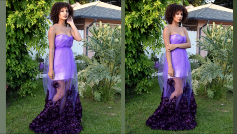 9da646b8-prom dress homemade_1494263522901-407068.PNG