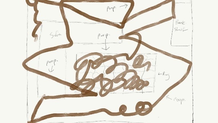 dog poop, Roomba vacuum goes viral