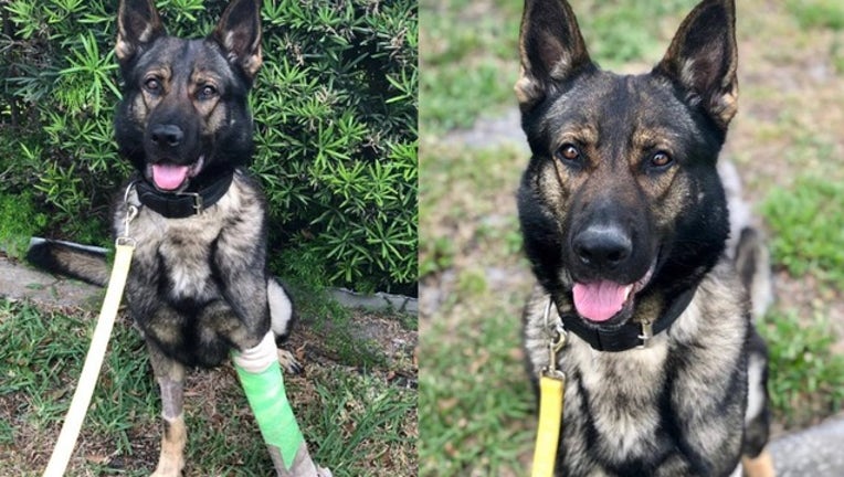 3edadb33-titan 2 for web_1554899883617.png-402429.jpg