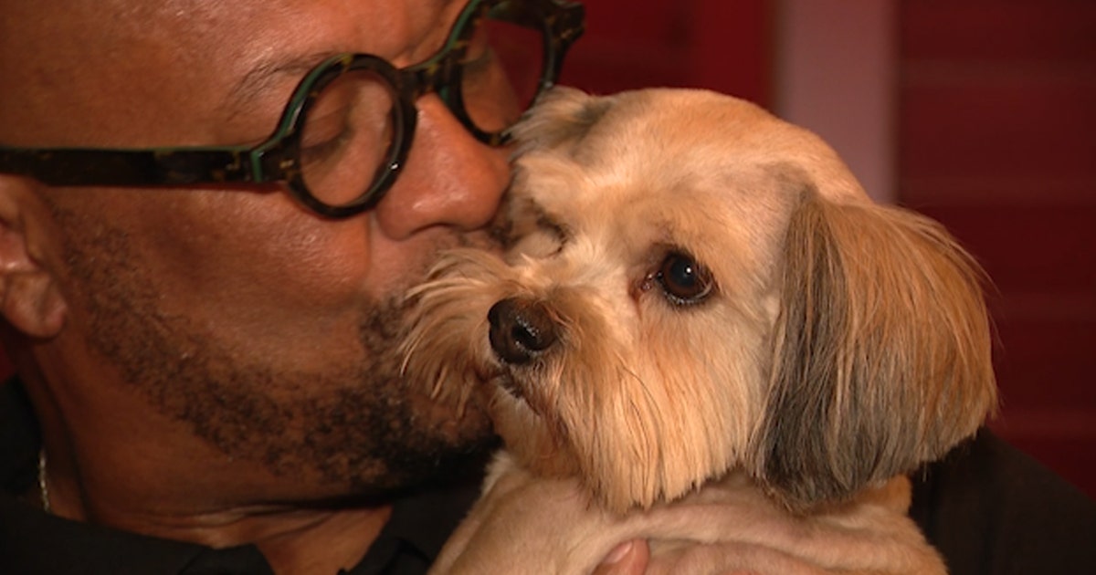 Man finally reunited with dog more than two years after it was stolen ...