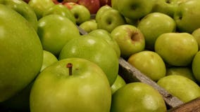 Georgia Apple Festival sweetens next two weekends