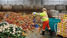 Food waste costs families thousands of dollars a year