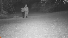 Search for car break-in suspects in Fayette County