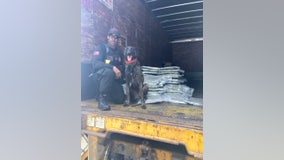 Sheriff: Rescue dog helps GBI find smuggled drugs
