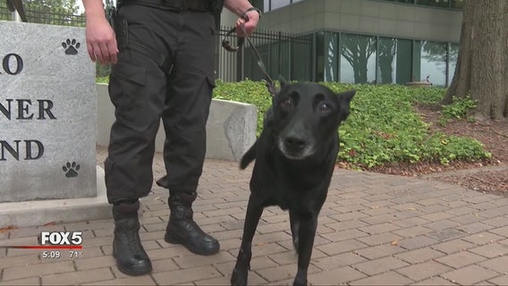 DeKalb County Police K-9 recovering after shooting