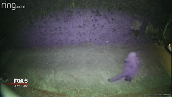 Police searching for burglars who used ladders to break into homes