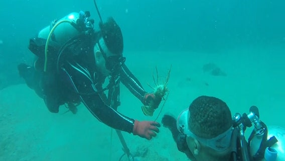 Wounded Warriors go scuba diving