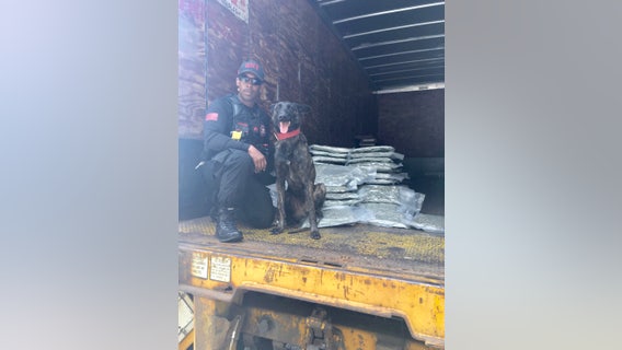 Sheriff: Rescue dog helps GBI find smuggled drugs