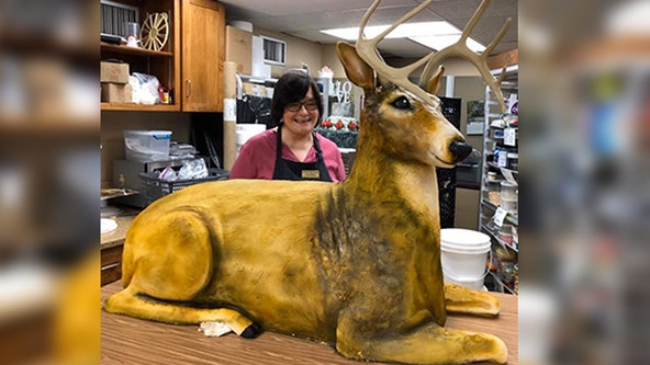 Pa. baker creates amazing life-sized deer cake for wedding