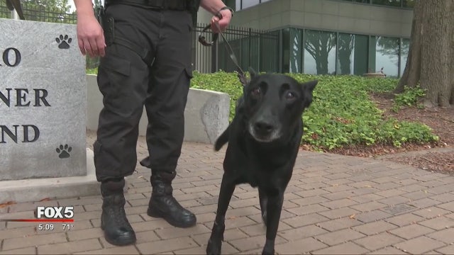 DeKalb County Police K-9 recovering after shooting