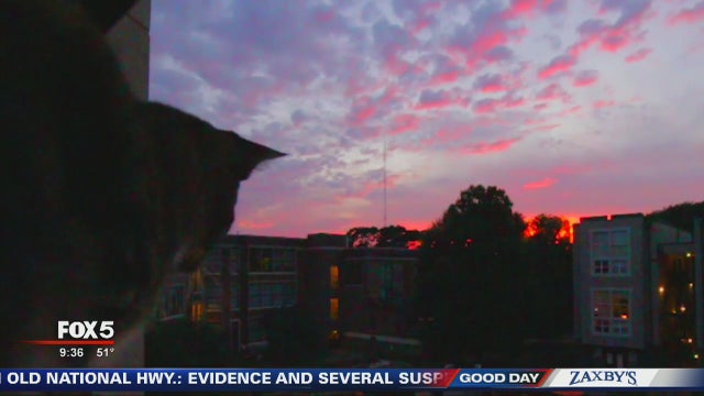 Feeling down in the dumps? You may have Seasonal Affective Disorder