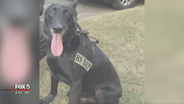 DeKalb County K-9 recovering after shooting