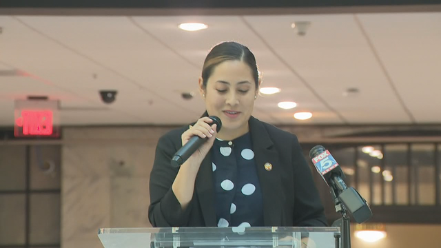 Fair Saturday to take place in November