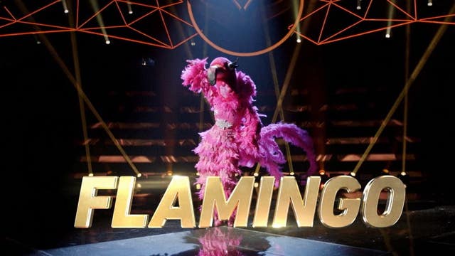 ‘Party like a flockstar’: Flamingo in ‘The Masked Singer’ season 2 has a leg up on the competition